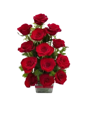 12 Red roses in vase