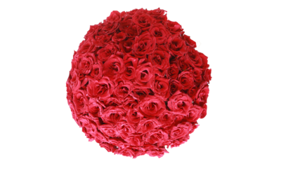 20-150 Red roses in glass vase