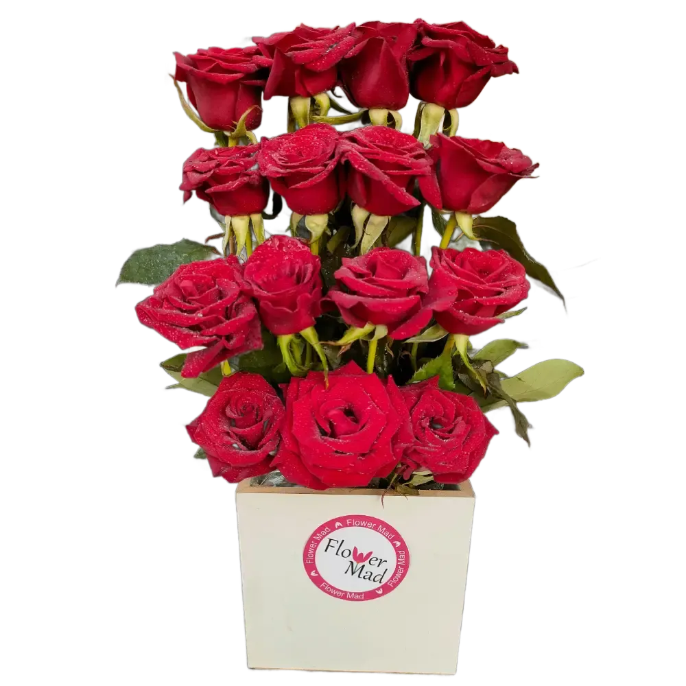 Roses in white wooden box