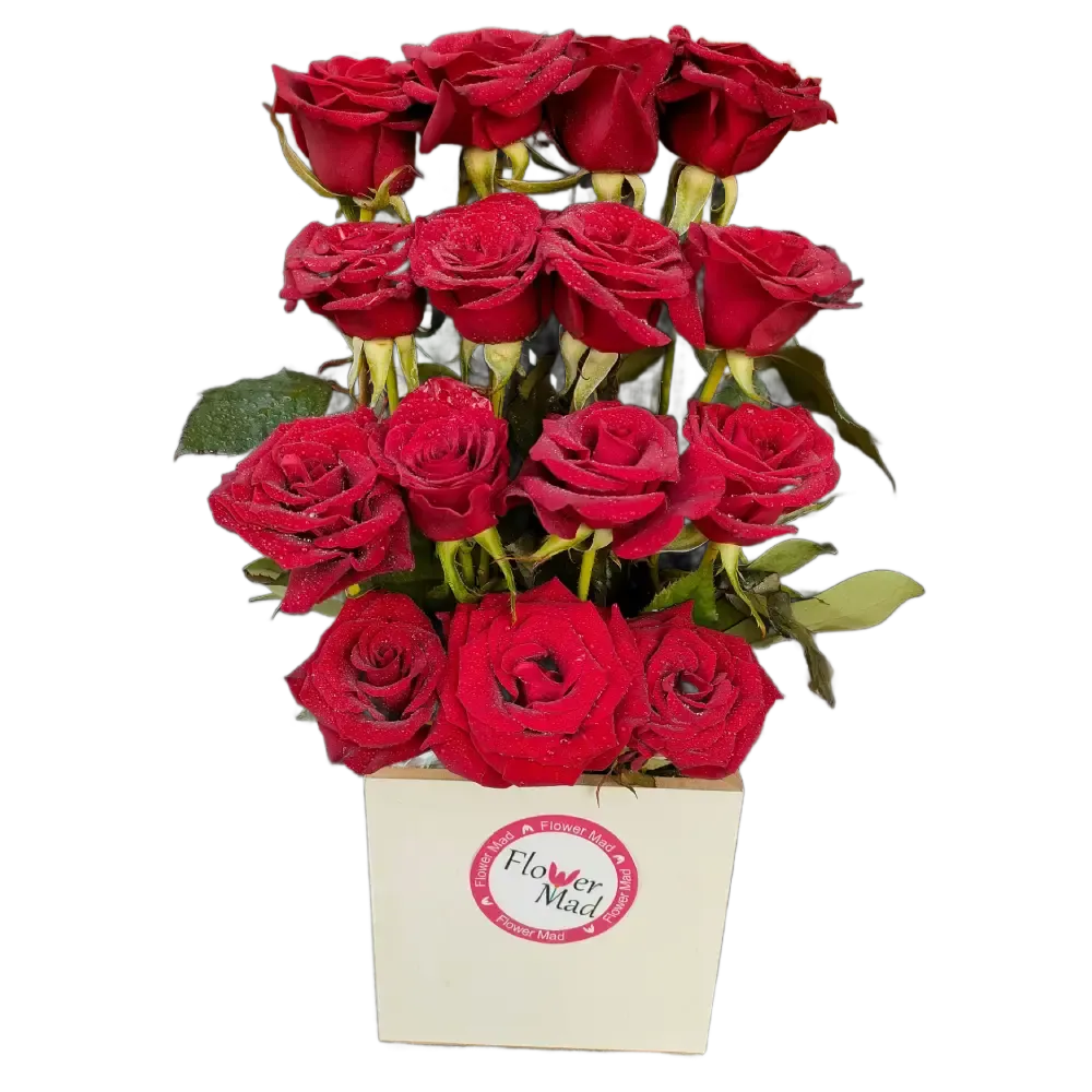 Roses in white wooden box