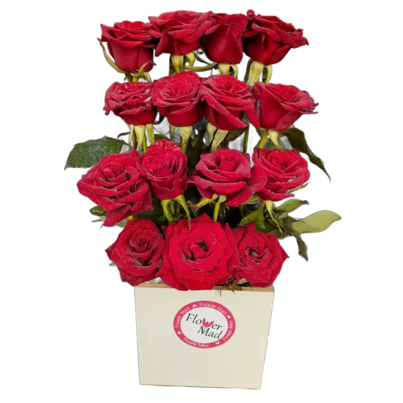 Roses in white wooden box