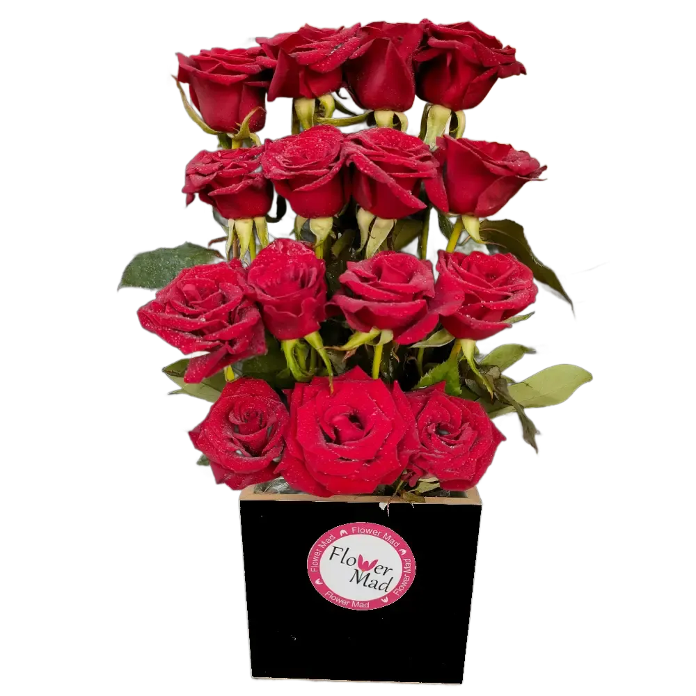 Roses in black wooden box