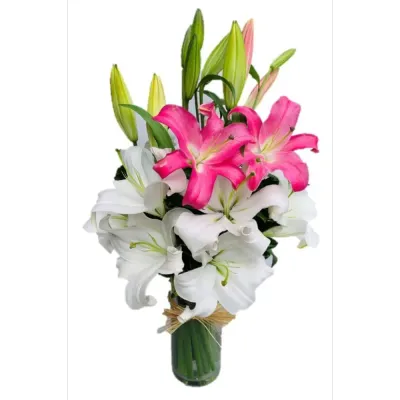 Vases