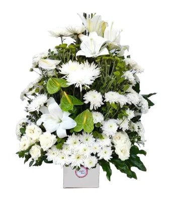 Lilies, Chrysanthemums &amp; Anthurium Harmony Box