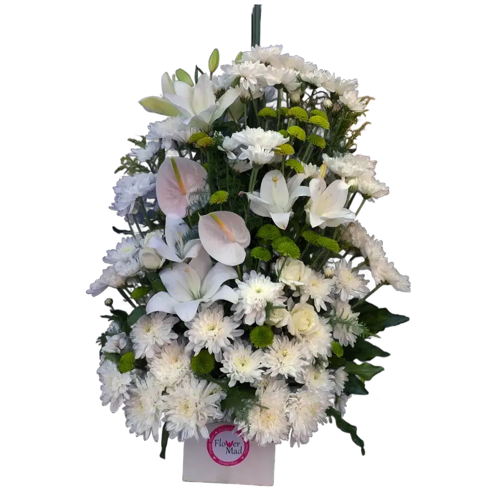 Lilies, Chrysanthemums &amp; Anthurium Harmony Box