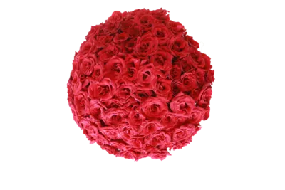 20-150 Red roses in glass vase 2023