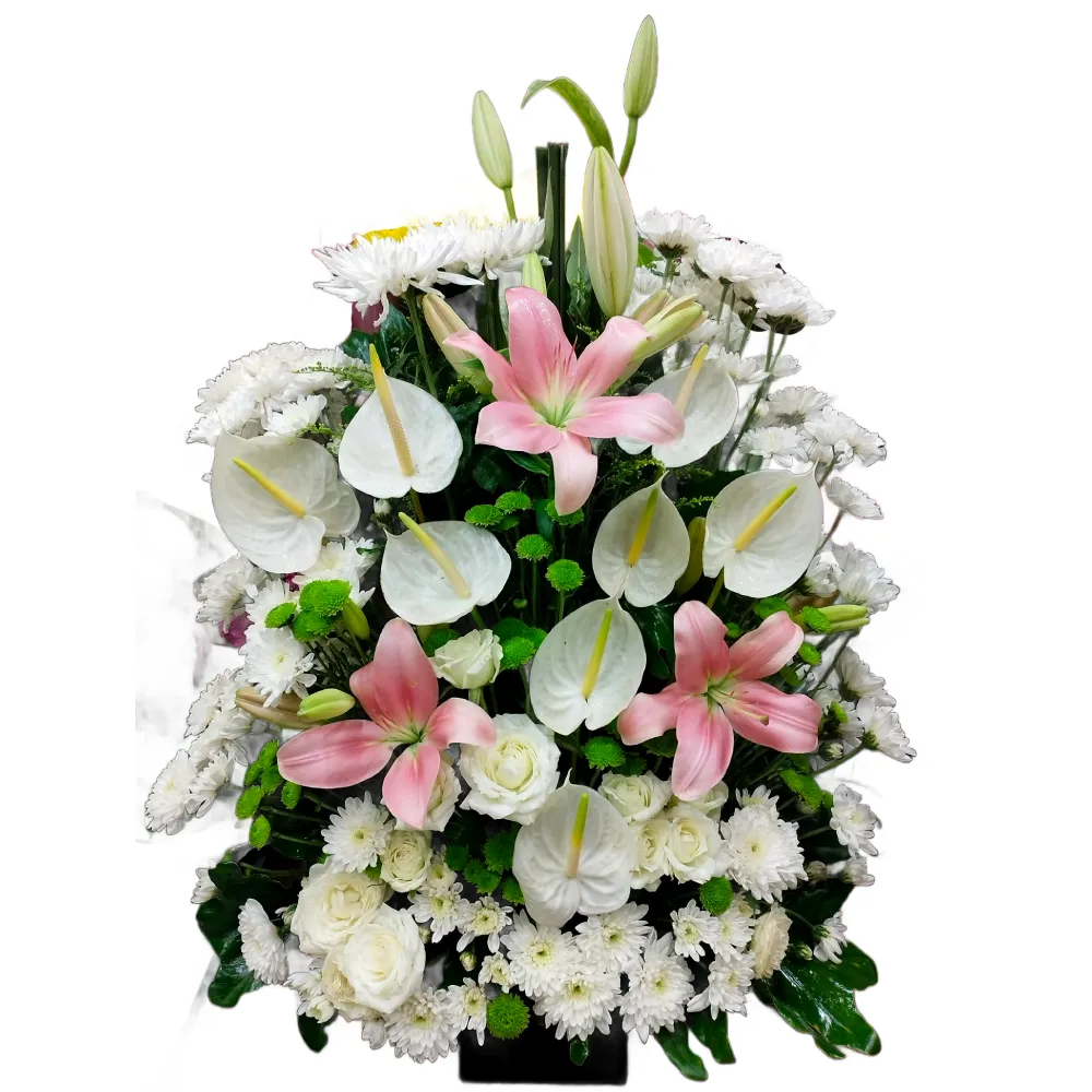 Lilies, Chrysanthemums &amp; Anthurium Harmony Box 2