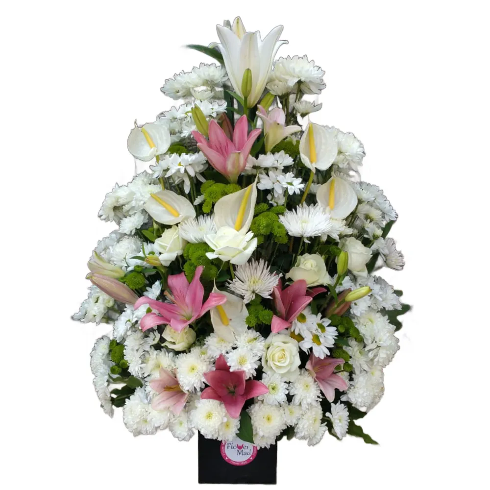 Lilies, Chrysanthemums &amp; Anthurium Harmony Box 2