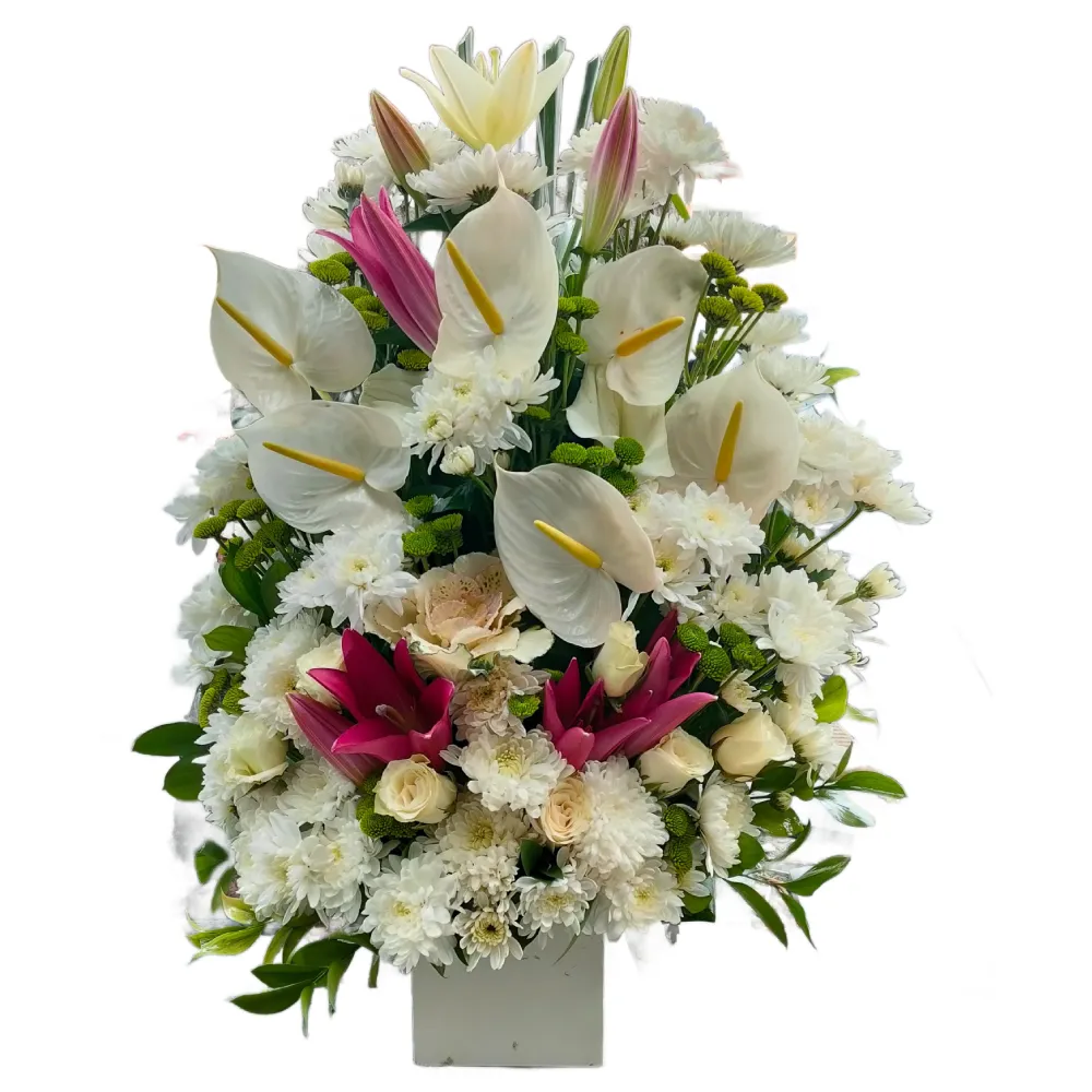 Lilies, Chrysanthemums &amp; Anthurium Harmony Box 2