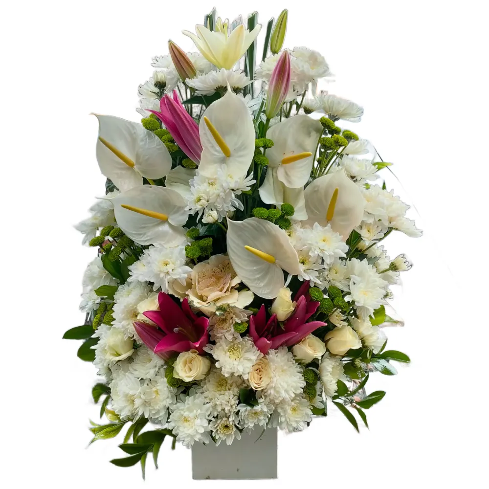Lilies, Chrysanthemums &amp; Anthurium Harmony Box 2