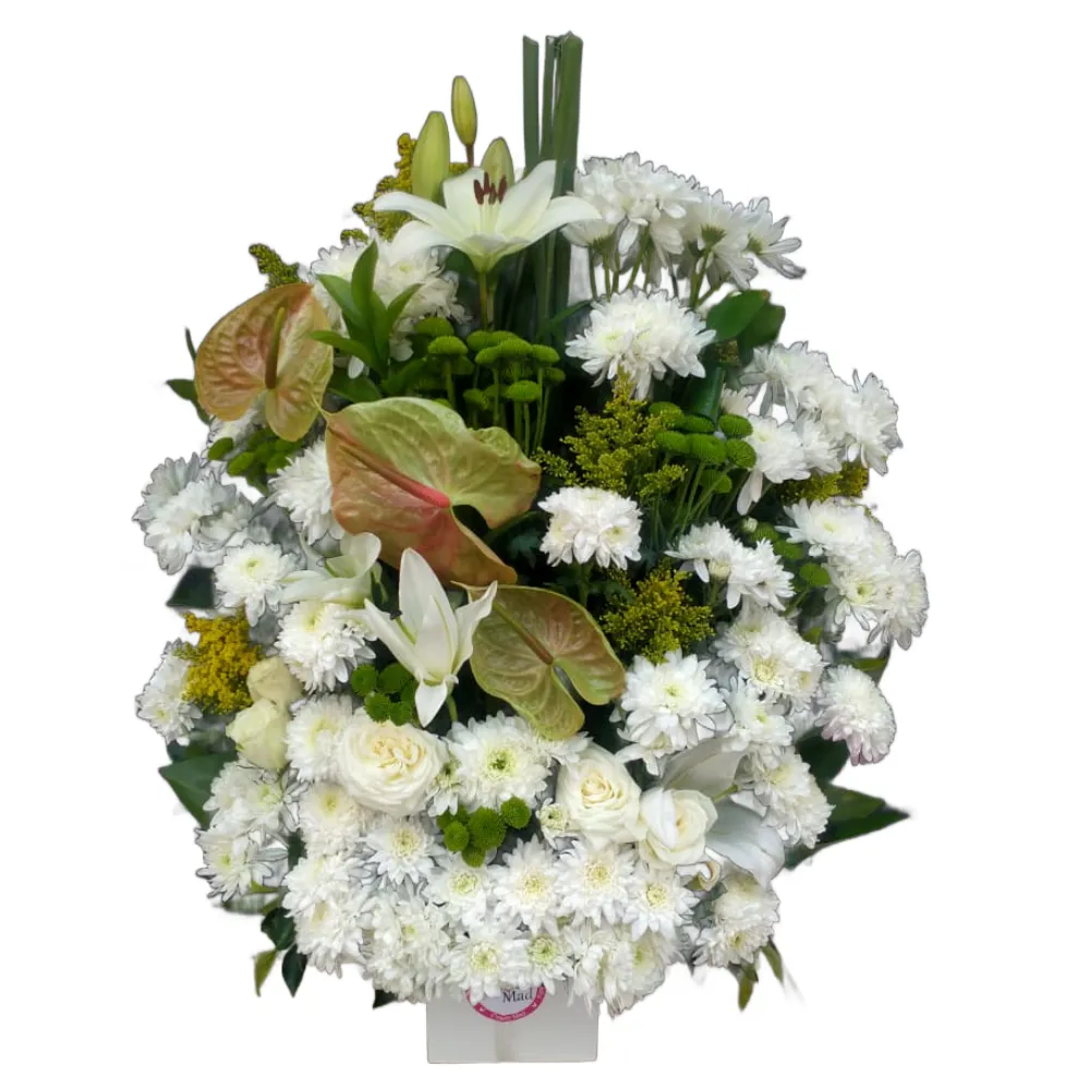 Lilies, Chrysanthemums &amp; Anthurium Harmony Box