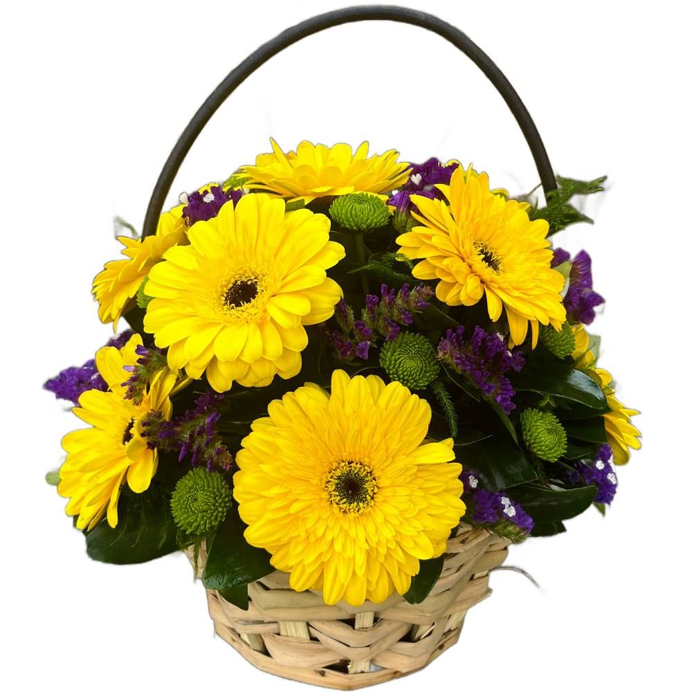 Sunshine Gerbera Basket