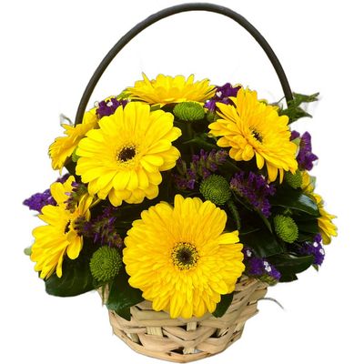 Sunshine Gerbera Basket
