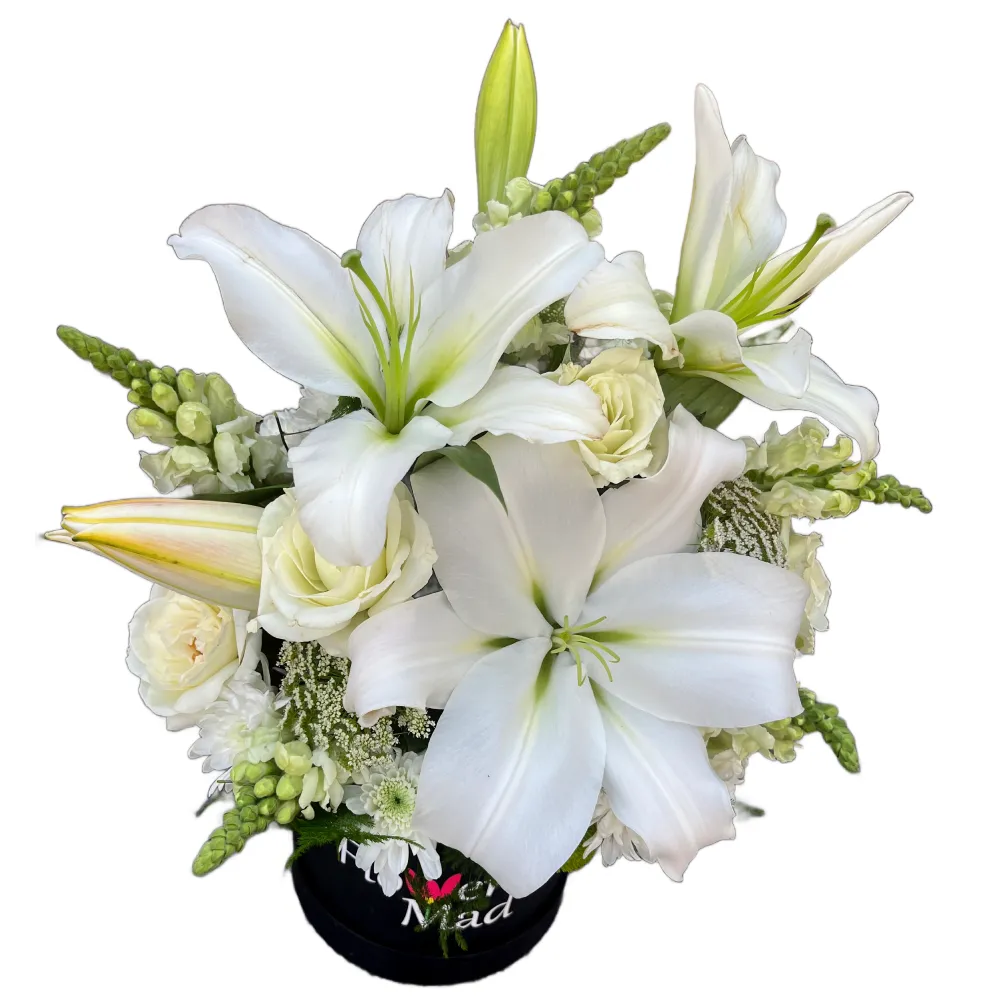 Elegant White Lily &amp; Rose Box – A Symbol of Purity &amp; Grace