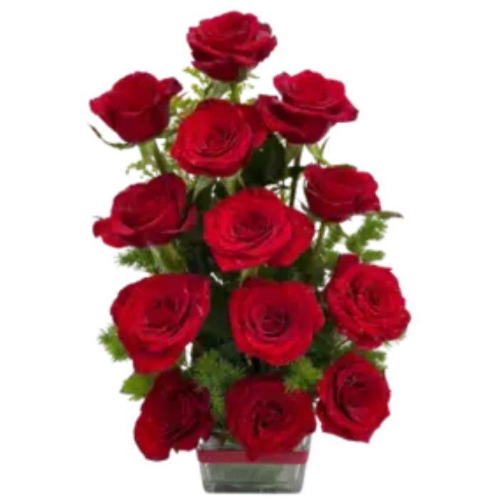 12 Red roses in vase