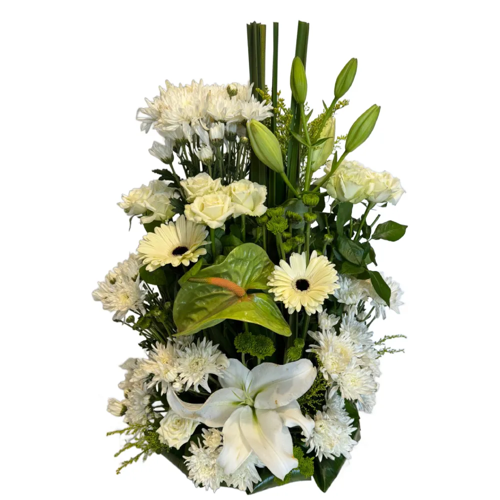 New Arrangement