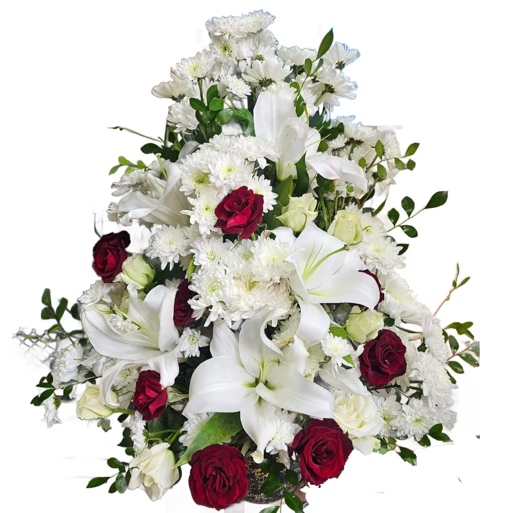 New  Arrangement