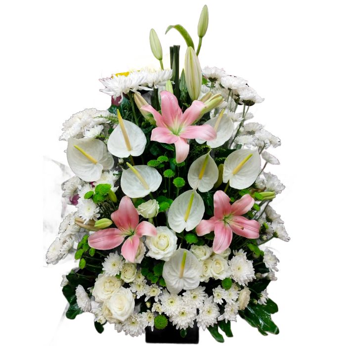 Lilies, Chrysanthemums &amp; Anthurium Harmony Box 2
