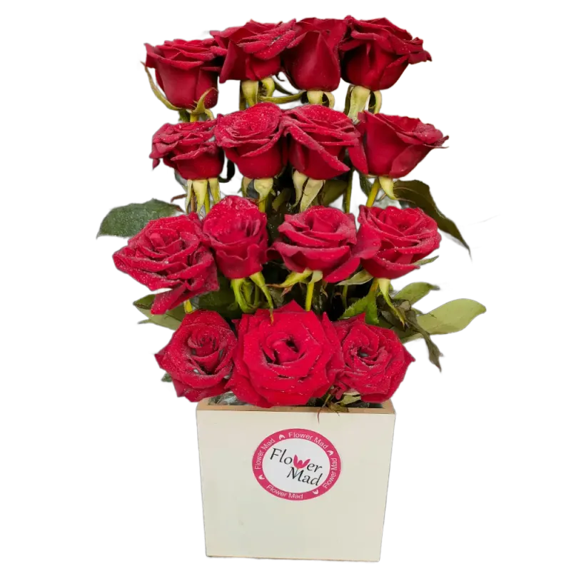 Roses in white wooden box