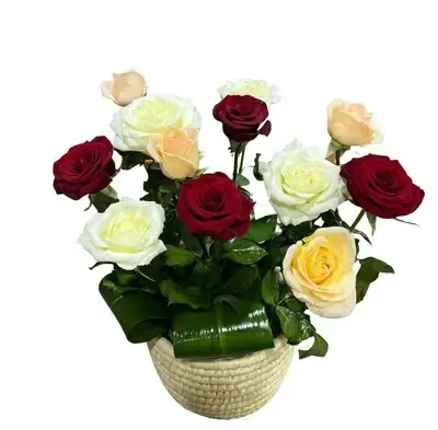 Roses in Palm Basket