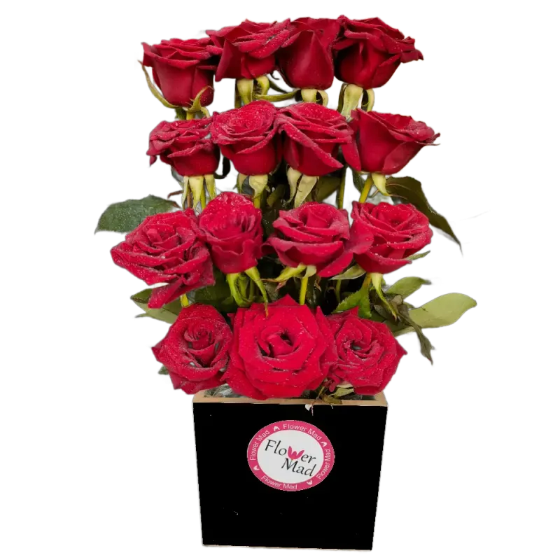 Roses in black wooden box