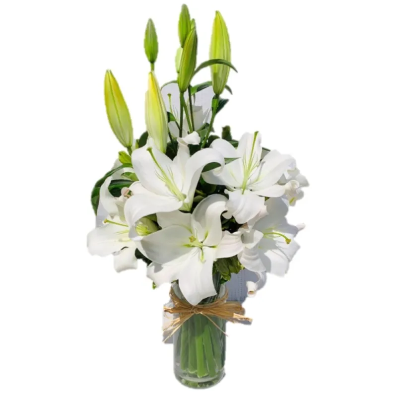 White Lilies (M,L,XL) in Vase