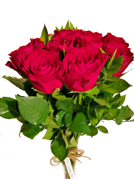 10 imported Red Roses with knot