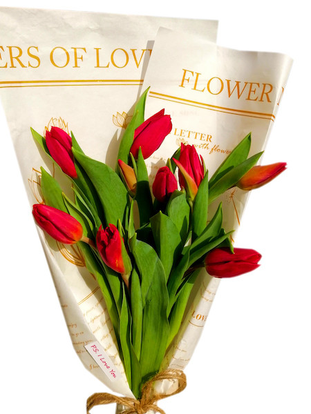 24 White Tulips in Flower Newspaper