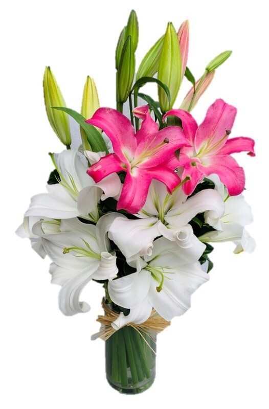 White &amp; Pink Lilies