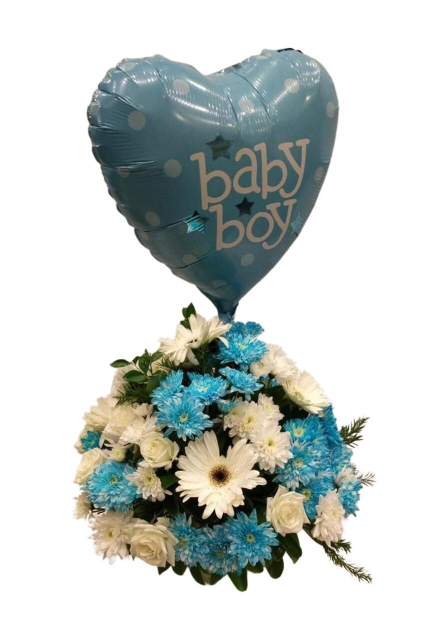 Baby Boy Gift