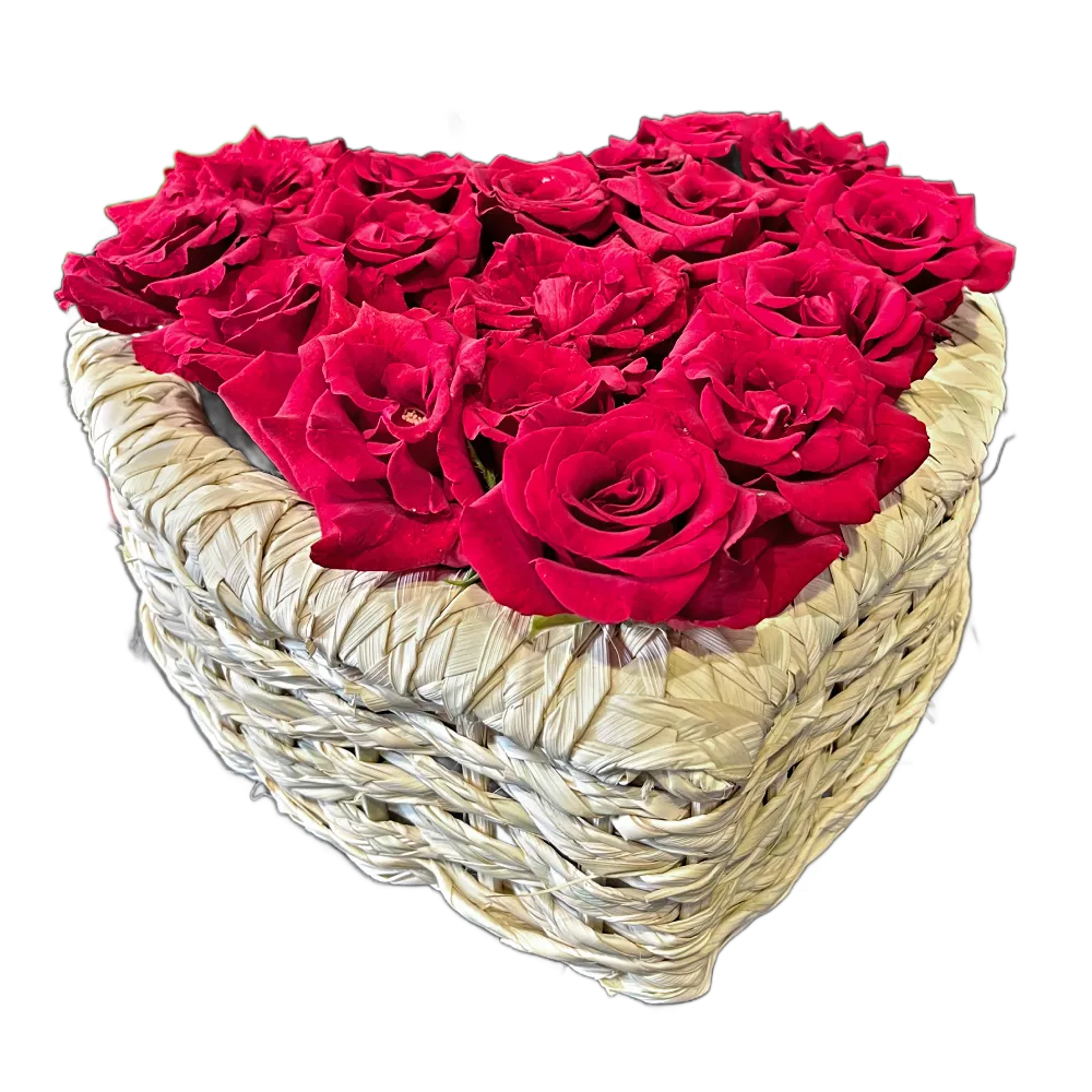 red roses in palm heart