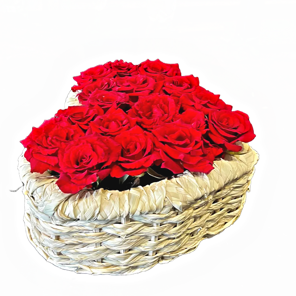 red roses in palm heart