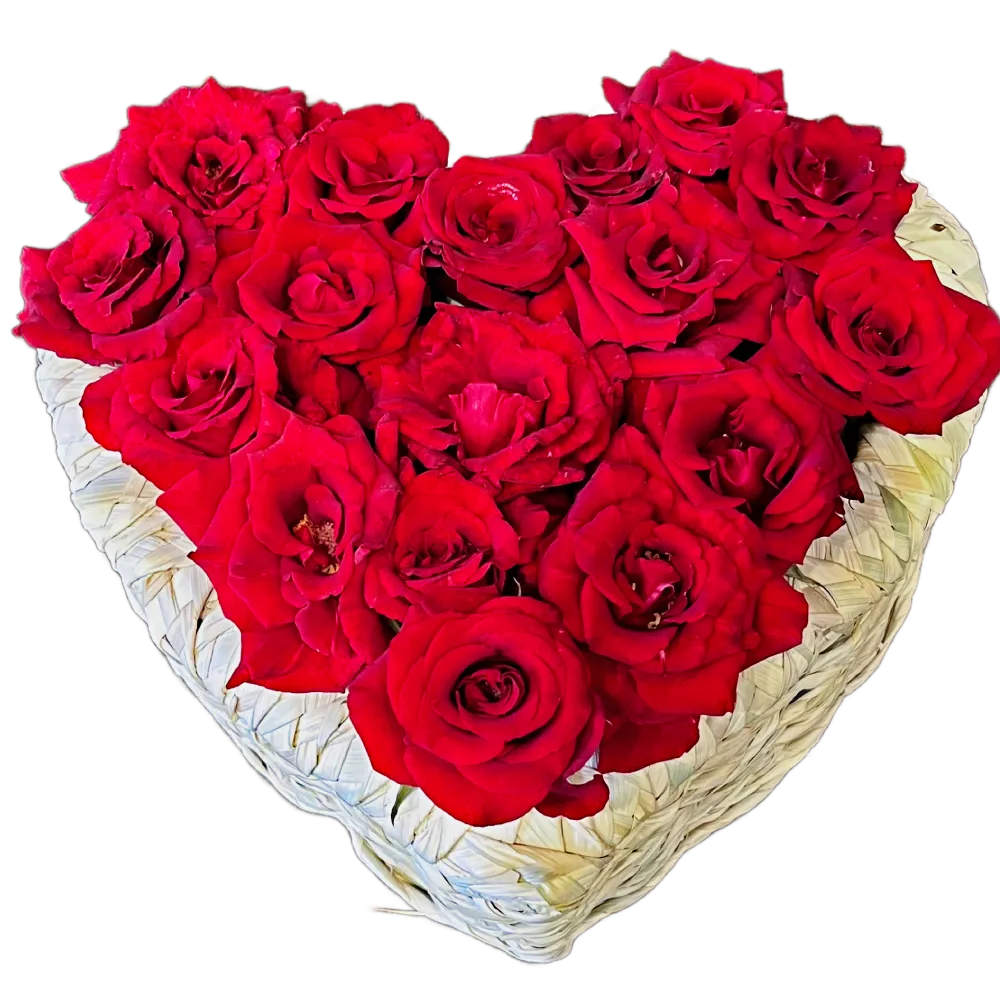 red roses in palm heart