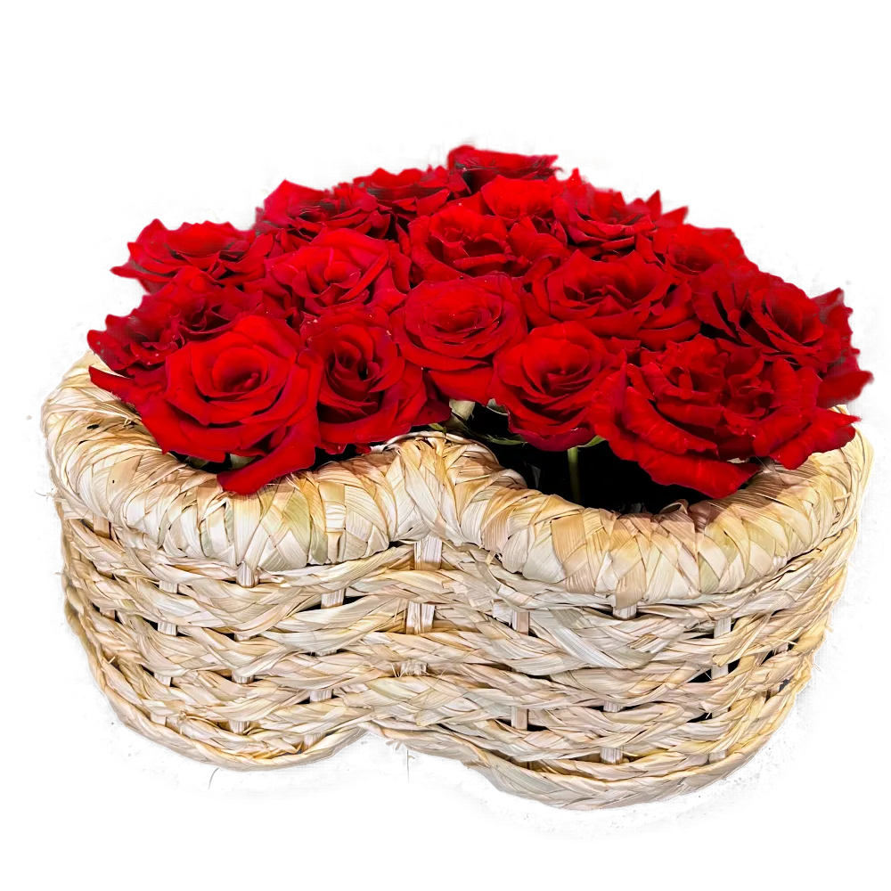 red roses in palm heart