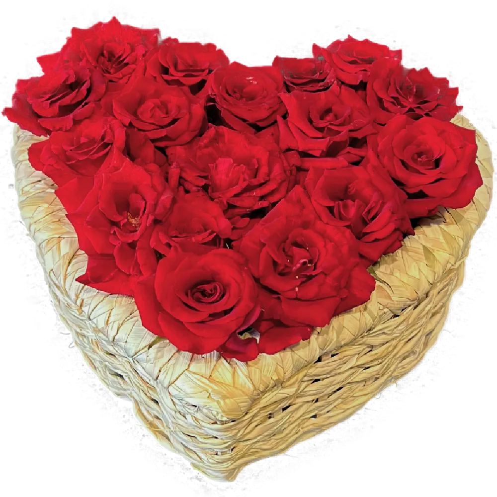 red roses in palm heart