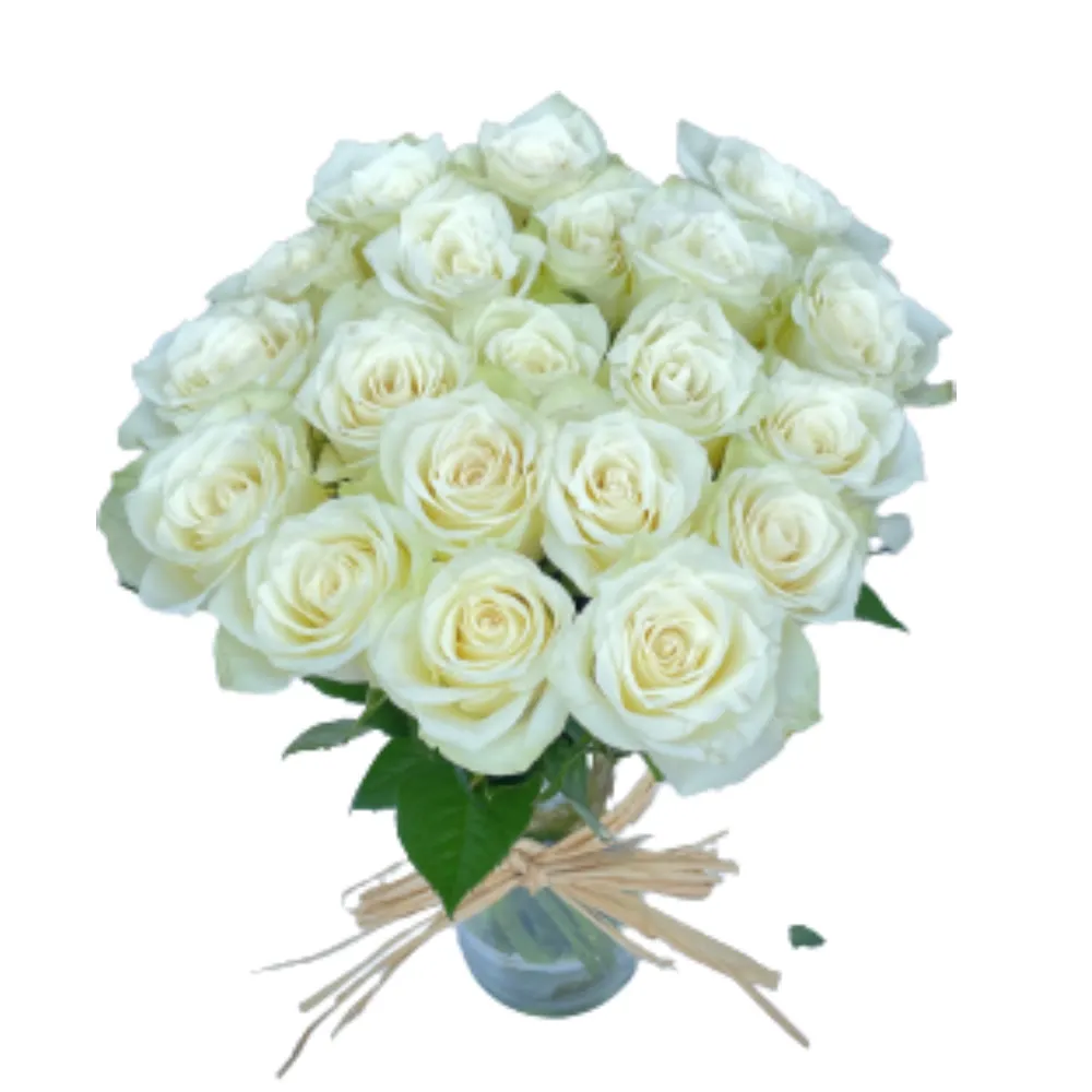 20 White roses in glass vase