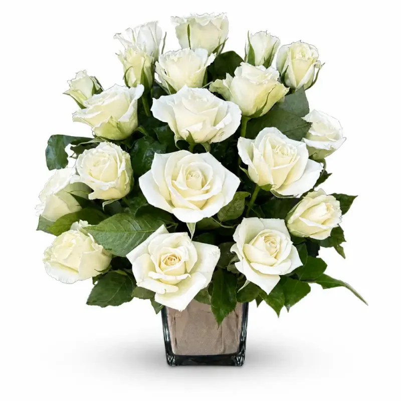 20 white roses in vase