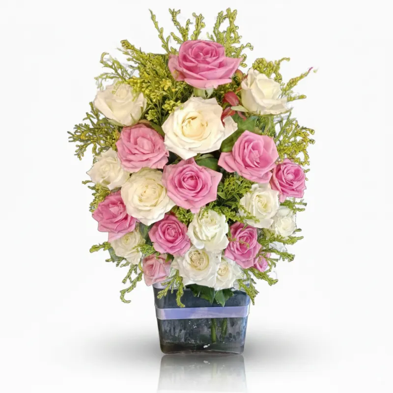 20 white &amp; rose roses in vase
