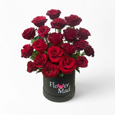 20 red roses in box