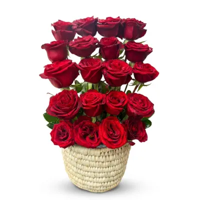 20 red roses in palm basket