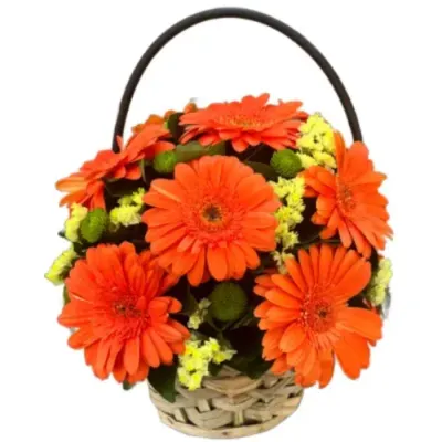 Vibrant Orange Gerbera Basket – A Cheerful Floral Gift