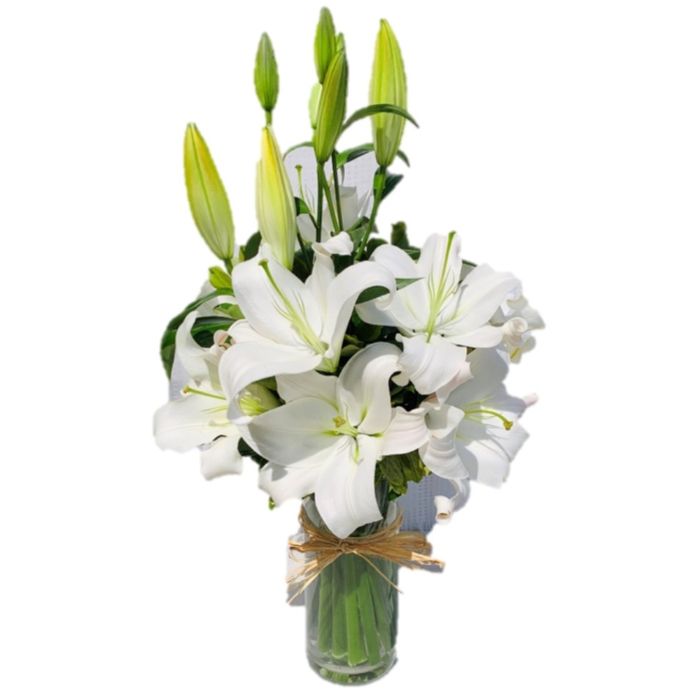 White Lilies (M,L,XL)