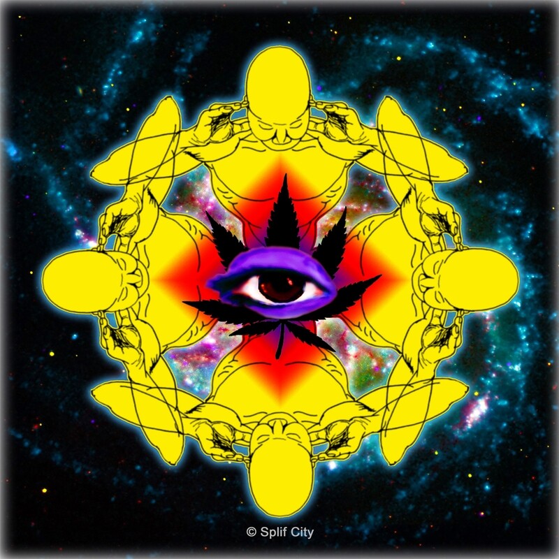 SC Higher Vision coaster