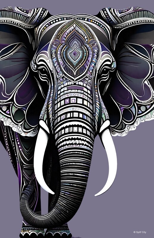 SC Trippy Elephant 3 color print