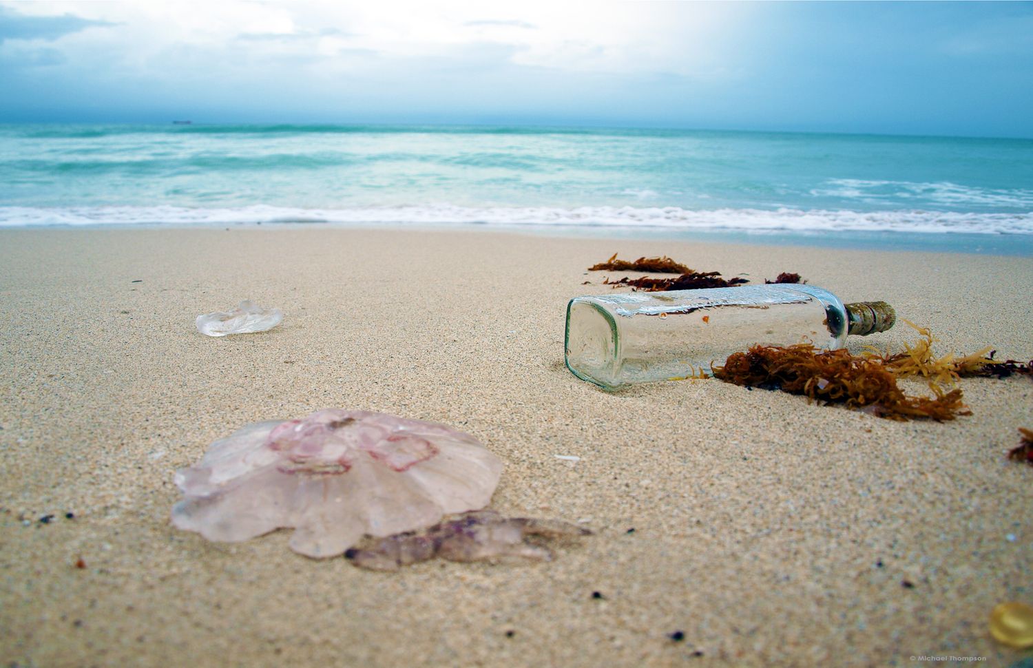 Bottle In South Beach Surf photographic print 11x17