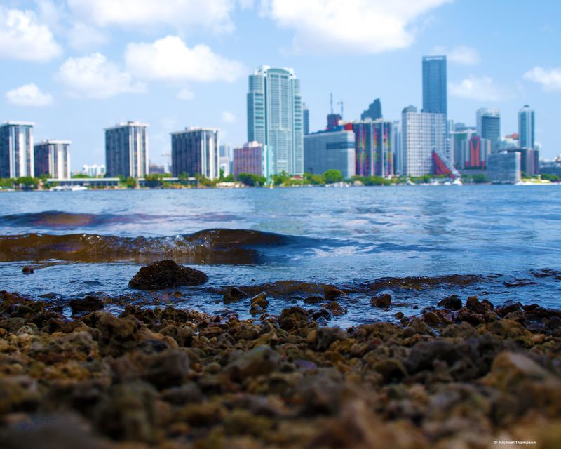 Across The Banks of Downtown Miami photographic canvas wrapped print 18x24