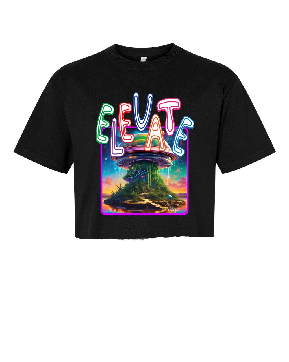 Weed House Elevate Premium cropped graphic tee, color: black