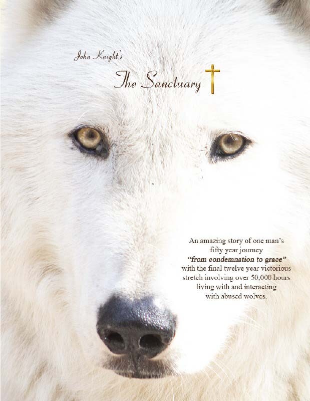 ​The Special Edition