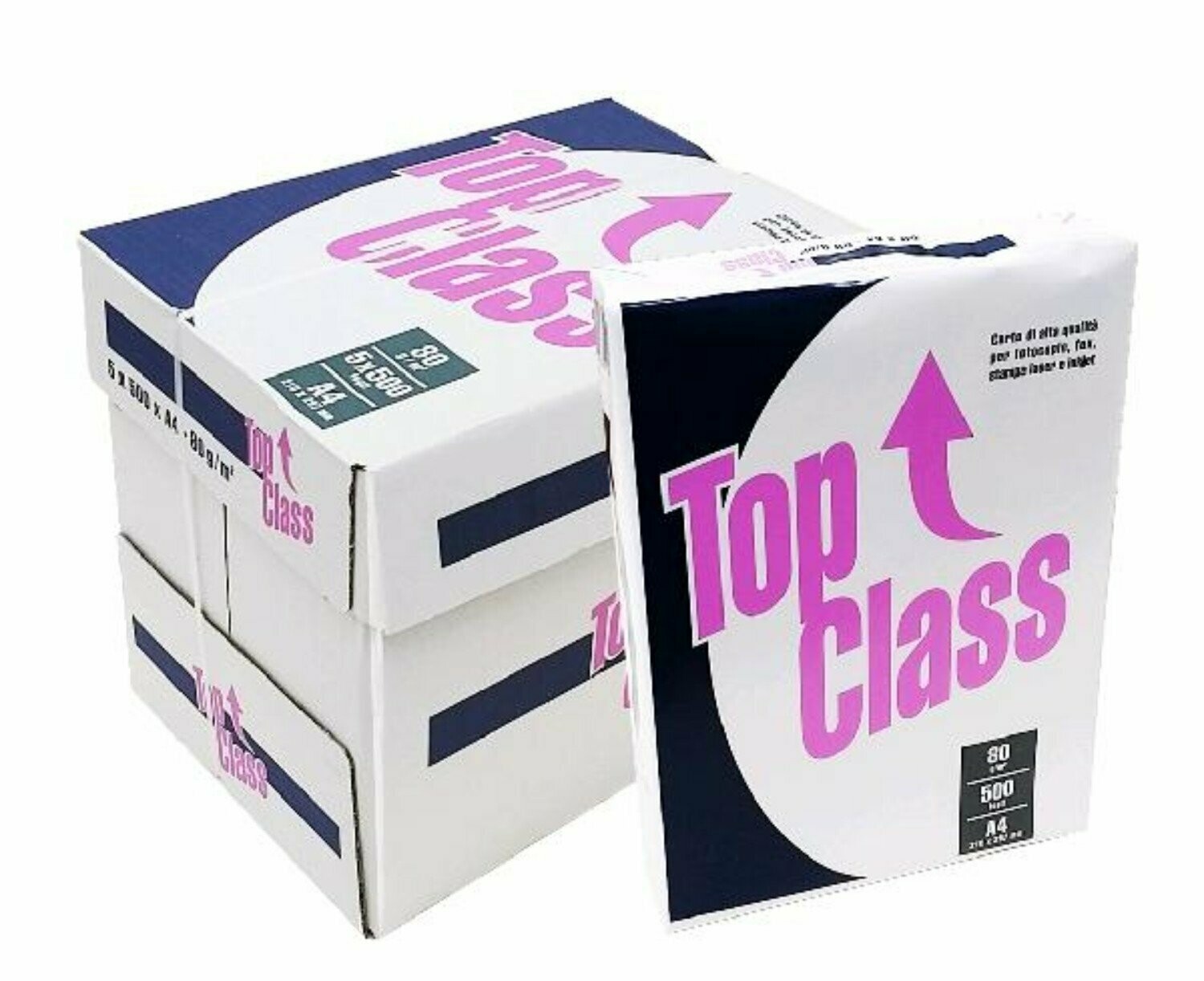 Carta Per Fotocopie Coloraction 838A 160S - Grigio, Formato DIN A4, Grammatura 160 G/mq, Confezione Da 30 Fogli