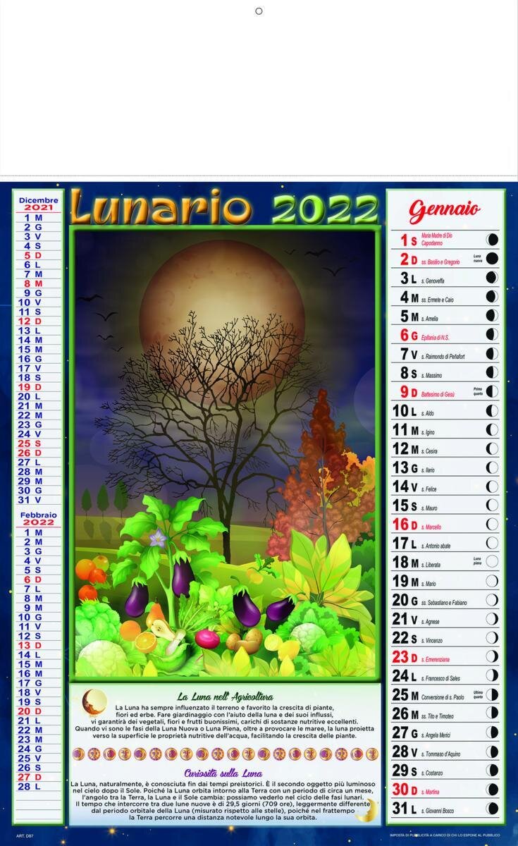 MENSILE ILLUSTRATO 12 fogli